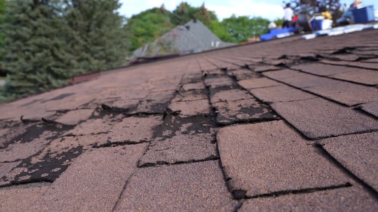 Best Metal Roofing Installation  in Three Forks, MT