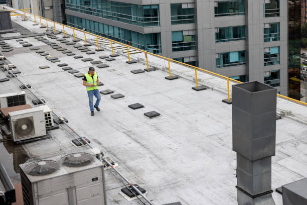 Best Sheet Metal Roofing  in Three Forks, MT